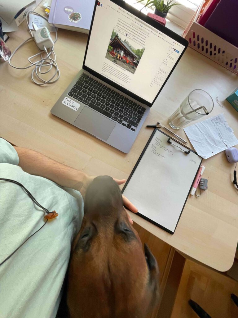 Laptop als digitale nomadin und minimalistin
