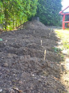 Gemüsegarten mit Erde