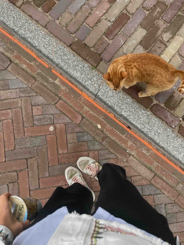 Juliane Kolbe und eine Katze